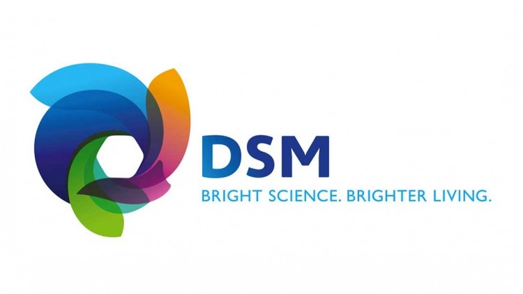 DSM has assured its customers that its supply of vitamin C will continue during the shutdown of its Jiangshan facility.