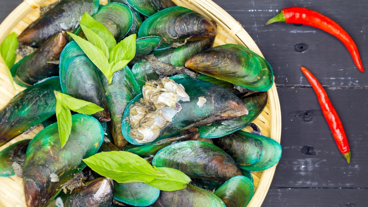 Kiwi marine ingredient supplier targets Asia and US with new nutraceutical brand