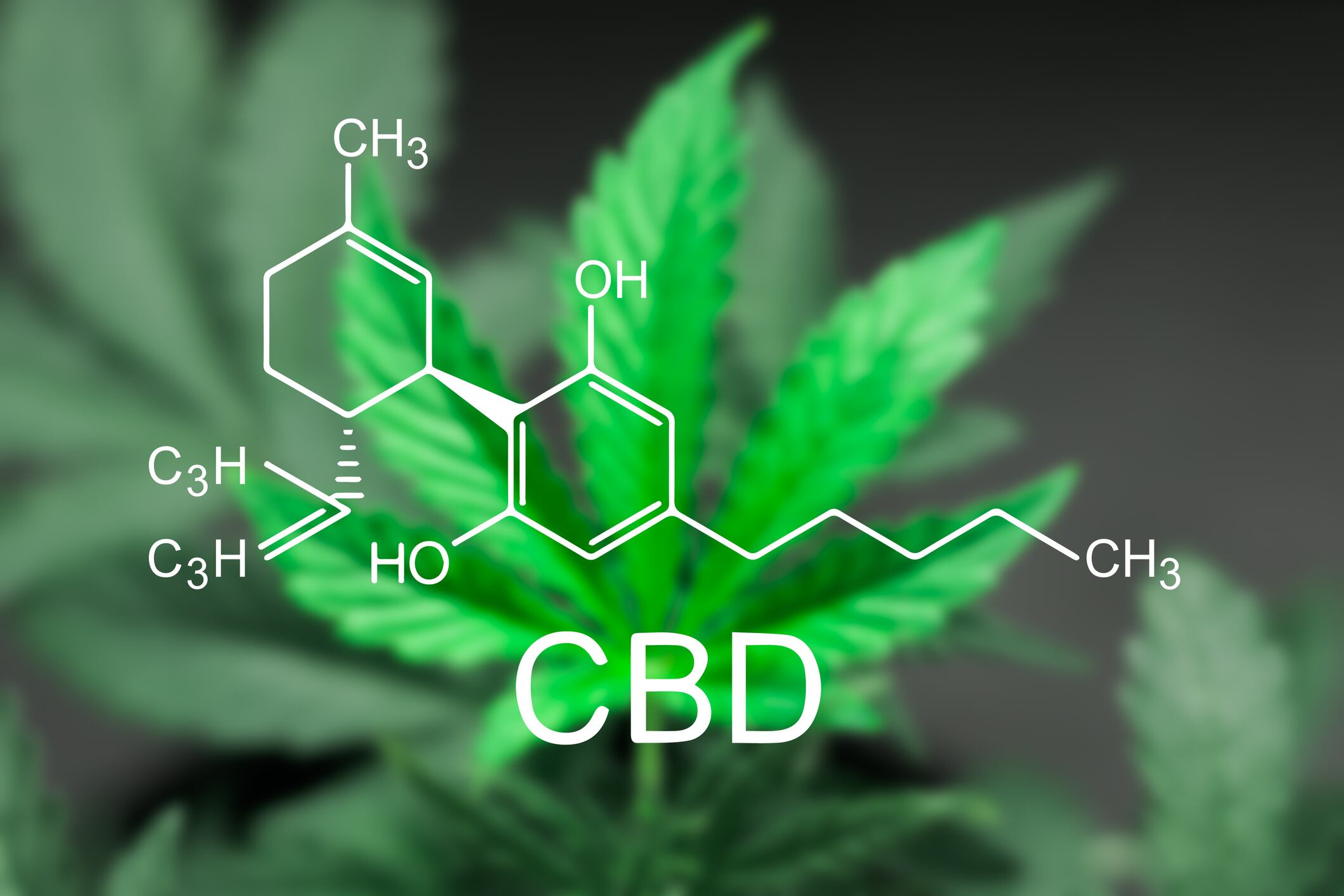 CBD-exacerbates-acetaminophen-s-liver-injury-potential-in-mouse-model.jpg