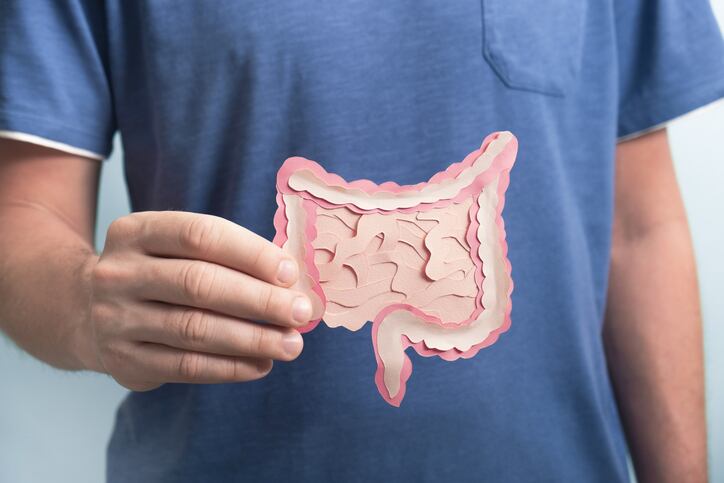 B. adolescentis positively linked with blood glucose level, say scientists