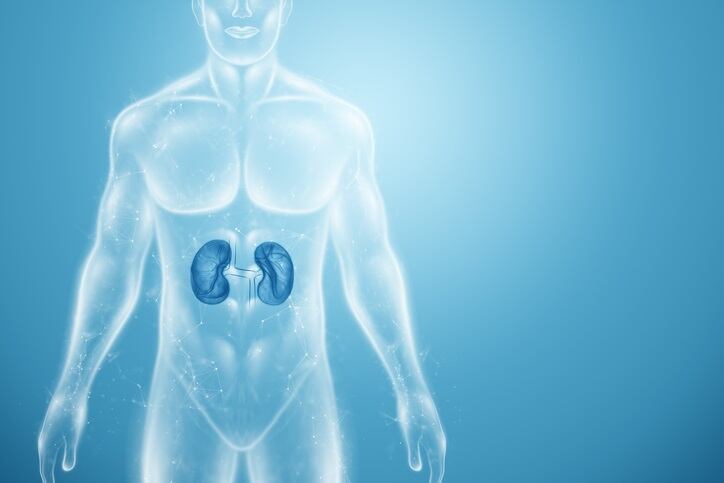 Thai-researchers-develop-formula-for-reducing-risk-of-urinary-stone-formation.jpg