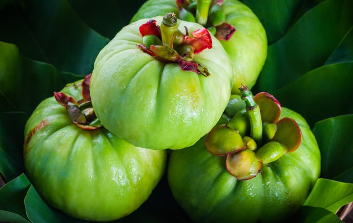 Body fat reducing Garcinia cambogia under new usage warnings in South Korea