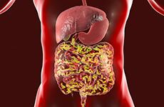 The Future of the Microbiome
