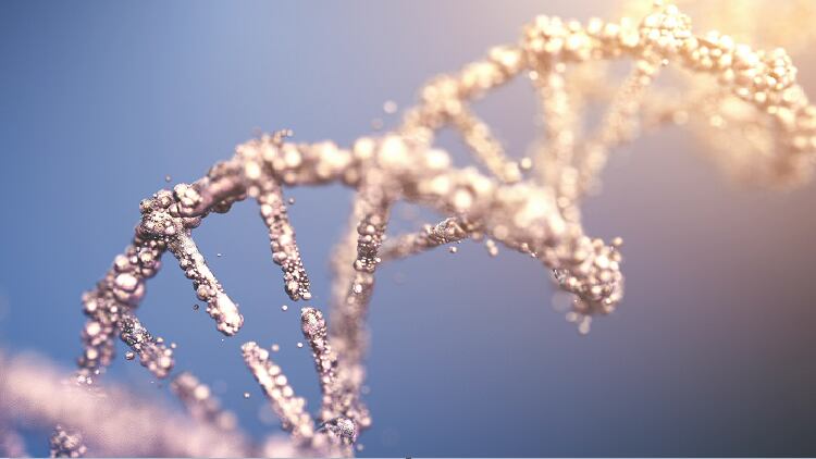 Small amount, big effects: A dose of fucoidan can affect gene expression, says Australian study