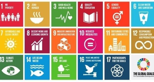 'Do less and do differently': Why innovation and reduction are both crucial for sustainability — DSM nutrition CEO