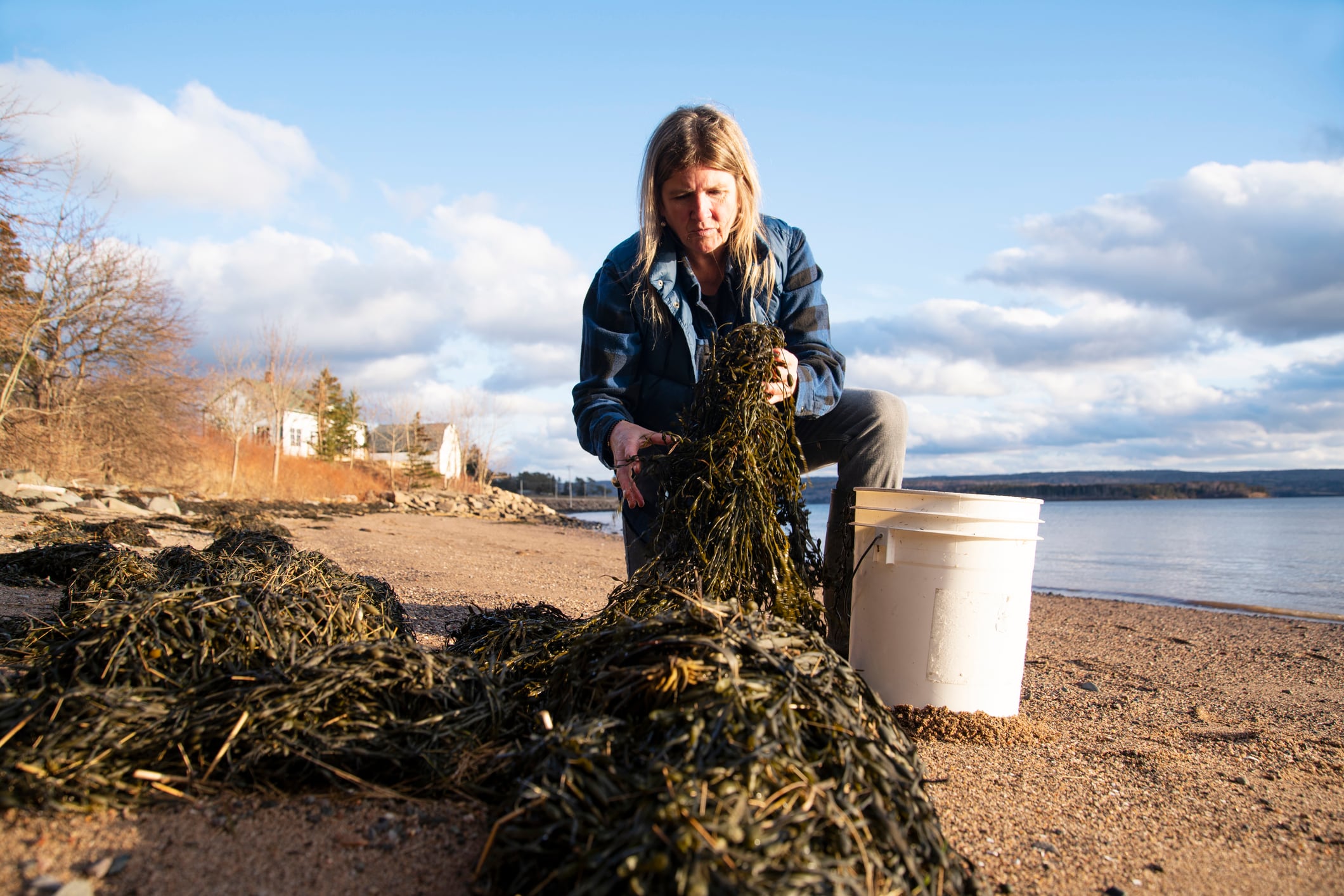 Seaweed saviour? How ramping up production could be a food security and sustainability boon 