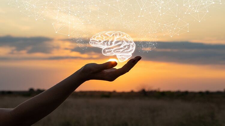 BRAND-S-Suntory-RCT-Chicken-extract-supplement-improves-verbal-and-spatial-working-memory.jpg