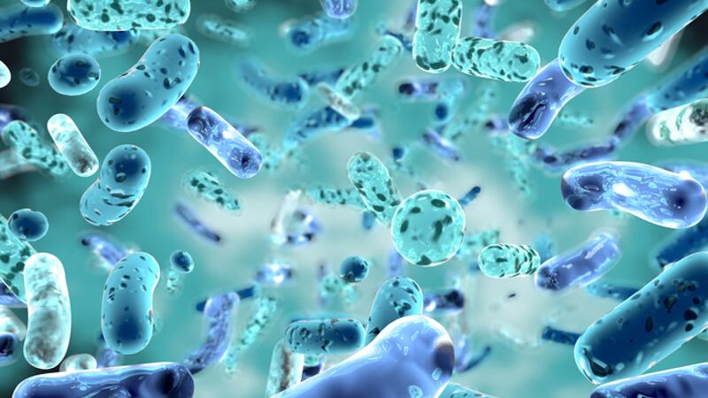 Postbiotic promise: Consensus among industry players needed before policymakers and consumers can help fulfil potential - experts