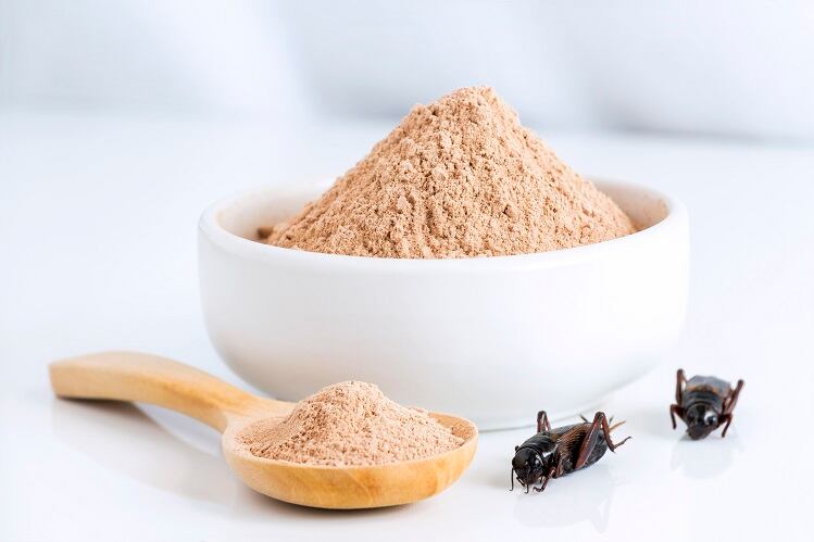 A-case-for-crickets-Polish-study-say-powder-rich-in-protein-fat-minerals-fiber.jpg