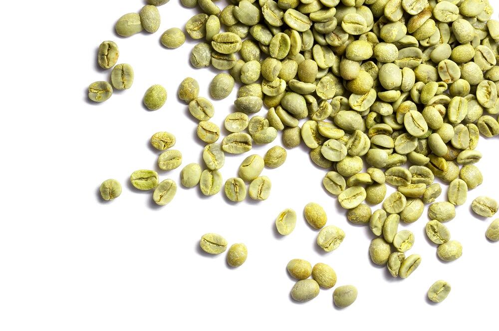 A-scientific-first-RCT-supports-cognitive-benefits-of-chlorogenic-acids.jpg