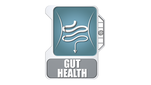 From infant to elderly: improve your gut health with Fibruline®! 