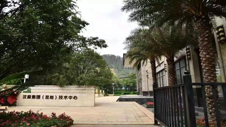 Chinese firm HMI opens tech centre in Kunming to drive R&D of CBD and hemp health products 