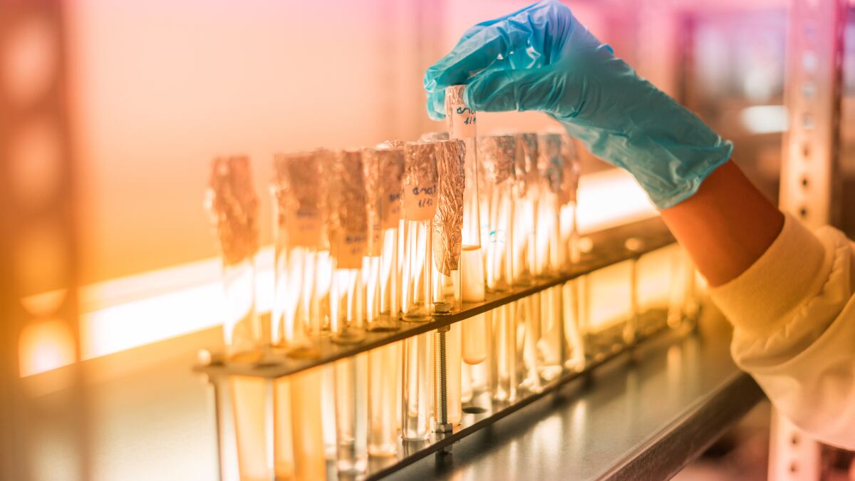 Microalgae for functional food: Life3 Biotech-Temasek Polytechnic partnership to maximise yields and boost food security