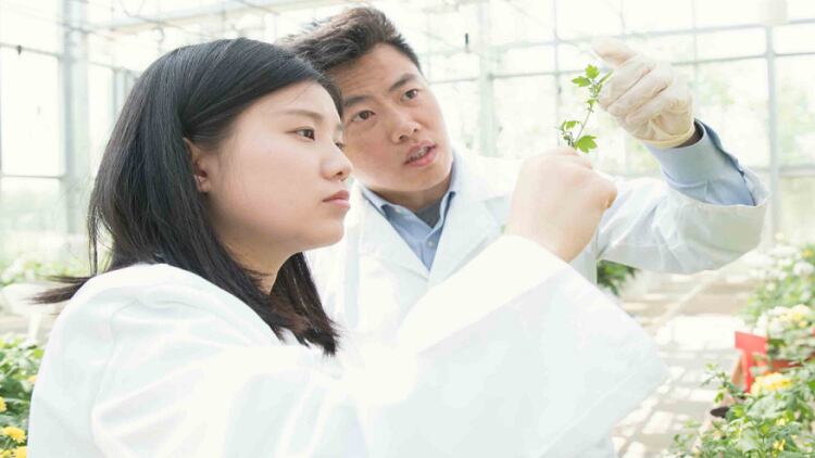 Amway China partners with government-led R&D project to internationalise TCM