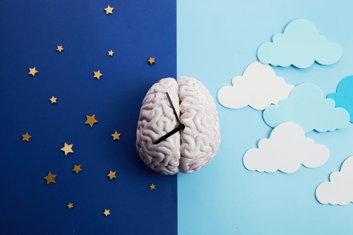 The body's circadian rhythms are controlled by circadian clocks or biological clock.