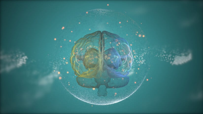 ‘Longevity vitamin’ ergothioneine could protect the aging brain