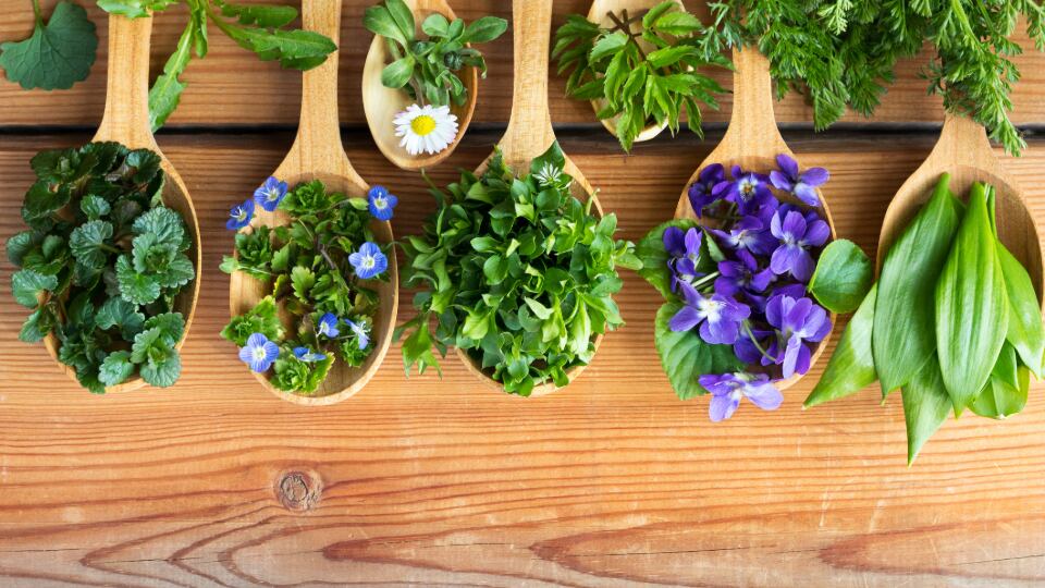 Regulatory Review: Reassessment of supplement and health food rules in the spotlight in China and Australia
