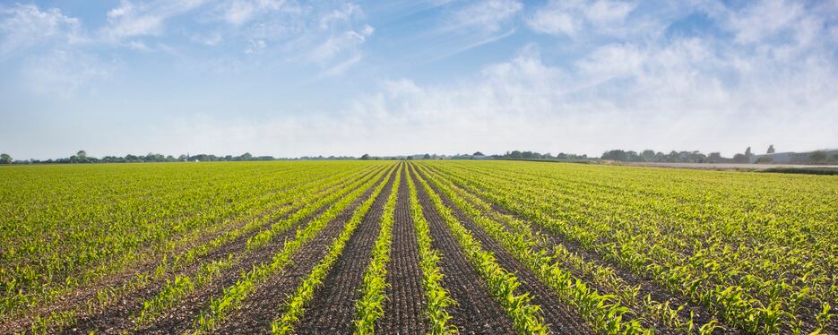 TCM focus: Amway to build first organic farm in China 