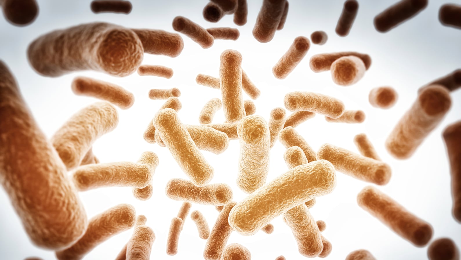 Synbiotics-may-have-dose-dependent-effect-against-IBS-symptoms-South-Korean-RCT.jpg