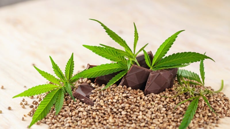 Thai cannabis teething troubles: Authorities vow tough approach to food products amid THC concerns