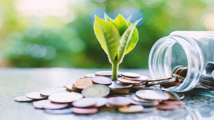 Start-up-struggles-Malaysian-nutrition-entrepreneurs-need-more-funding-to-compete-with-neighbours.jpg