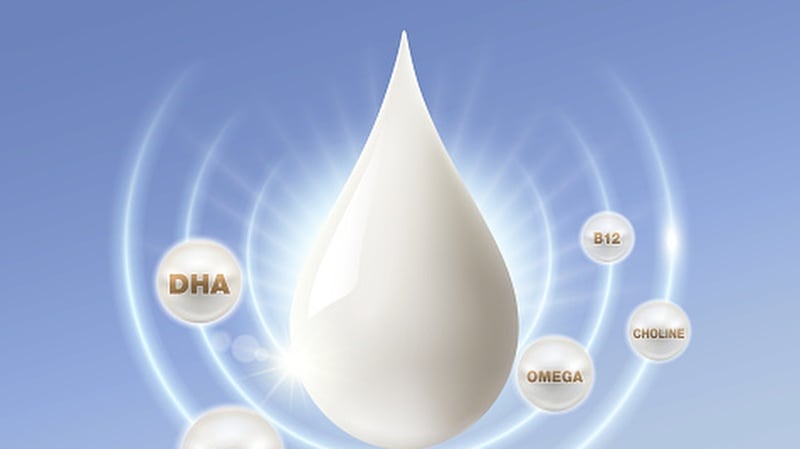 ‘Not all DHA is equal’: Concentration of specific sn-2 variant could play key role in infant formula efficacy – Junlebao