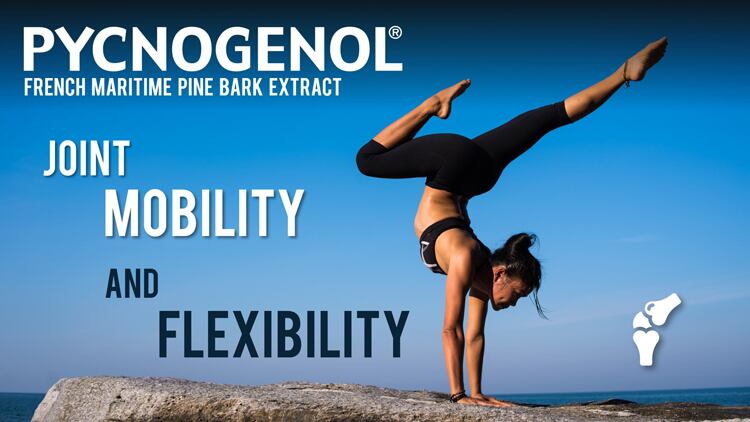 Pycnogenol®’s Potential Benefits for Joint Support