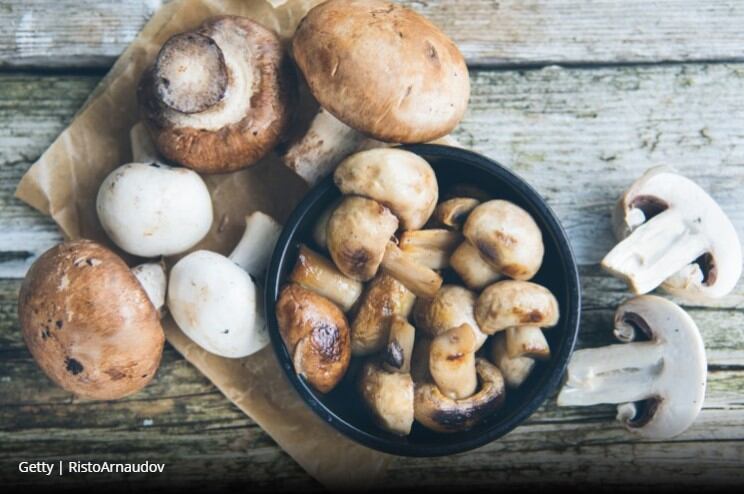 Mushrooms make up shortfall in dietary nutrients, study suggests