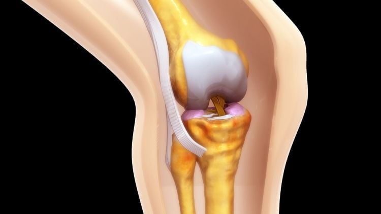 Easy-Climb-Helps-Improve-Joint-Health-in-30-Days.jpg