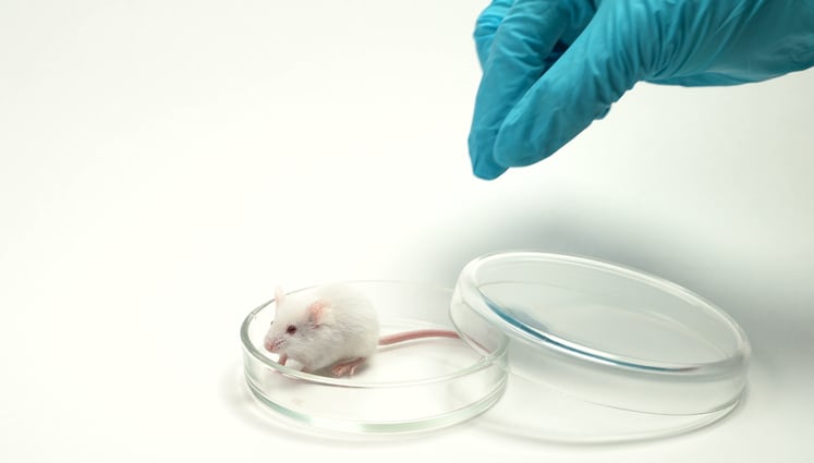 Prioritising human studies: Grape King Bio latest Taiwan firm to ban animal tests not required by law