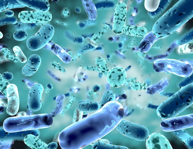 China still Asia’s probiotic powerhouse, but India and South East Asia next to watch - Growth Asia Series expert panel