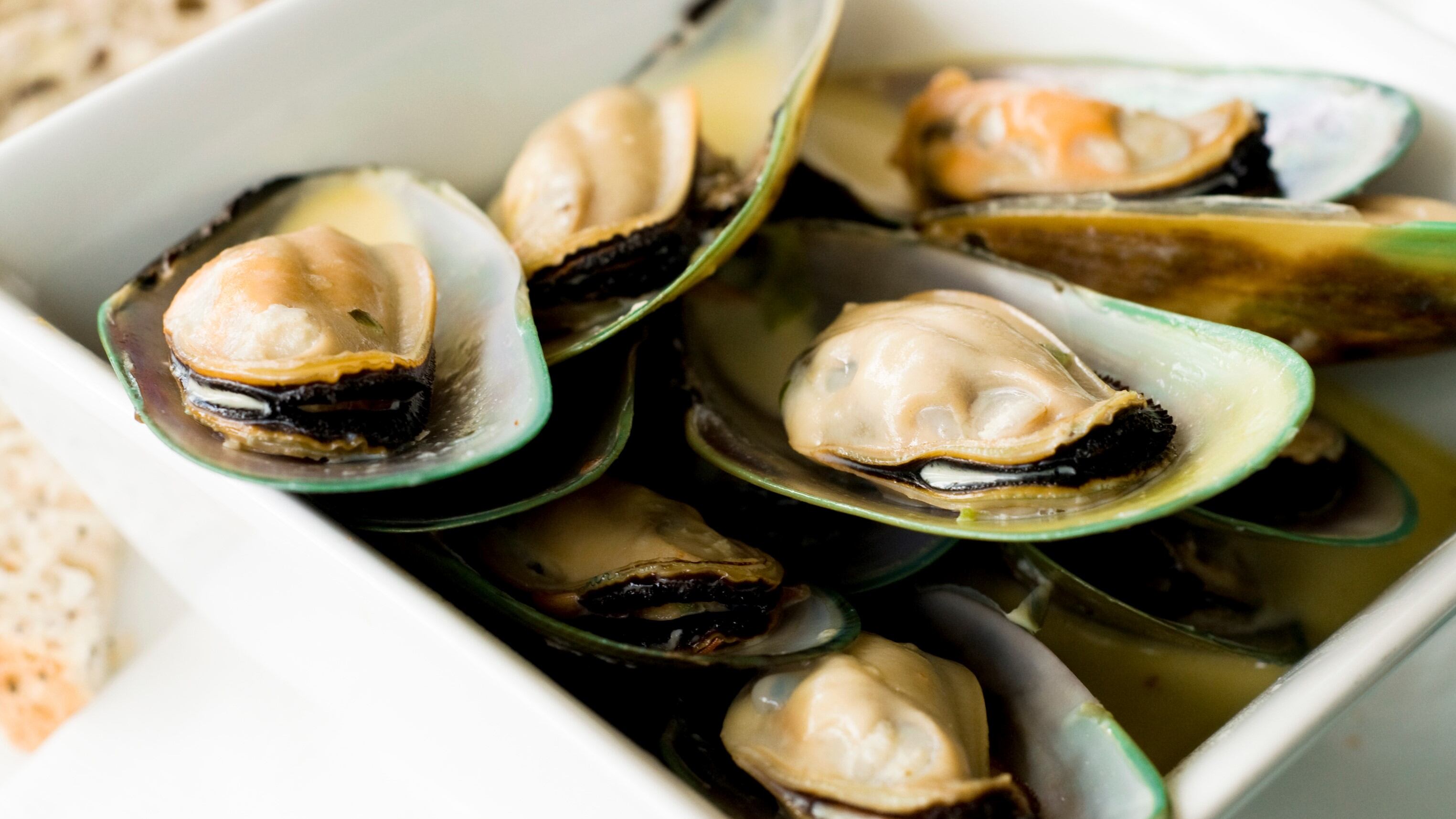 Mussel power: Muscle recovery benefits linked to consumption of greenshell mussel powder – NZ RCT