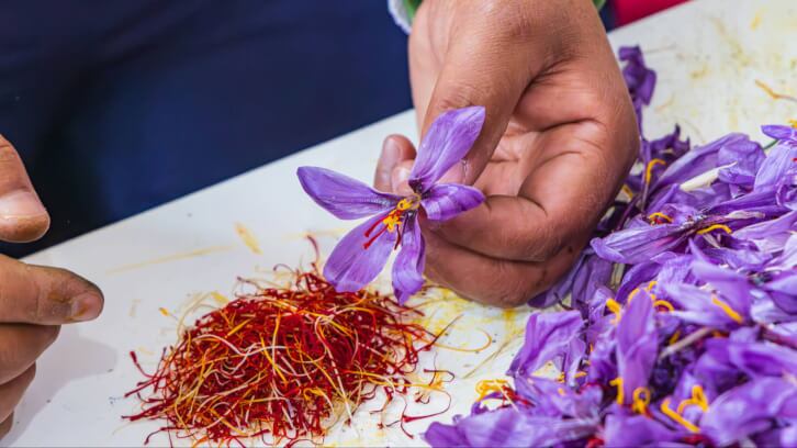 Ayana-Bio-partners-with-South-Korean-biotech-firm-for-plant-cell-derived-saffron.jpg