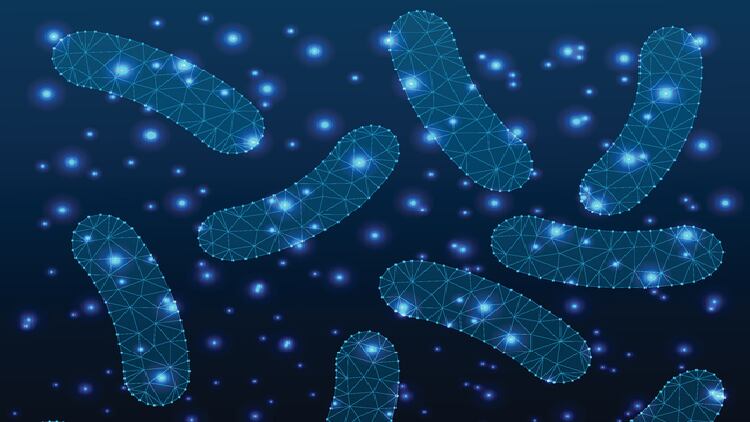 India’s probiotic controversy: Industry questions methodology used by researchers who criticised label claims