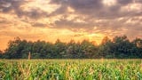 The Value of Experience: Choosing the Right Finished-Dose Partner