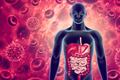 Immune balance: The compelling link between HRB probiotics and the immune system