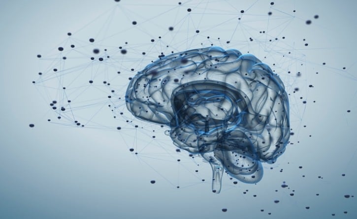 Increased-dietary-intake-of-Vit-B1-linked-with-better-cognition-in-over-60s-cross-sectional-study.jpg