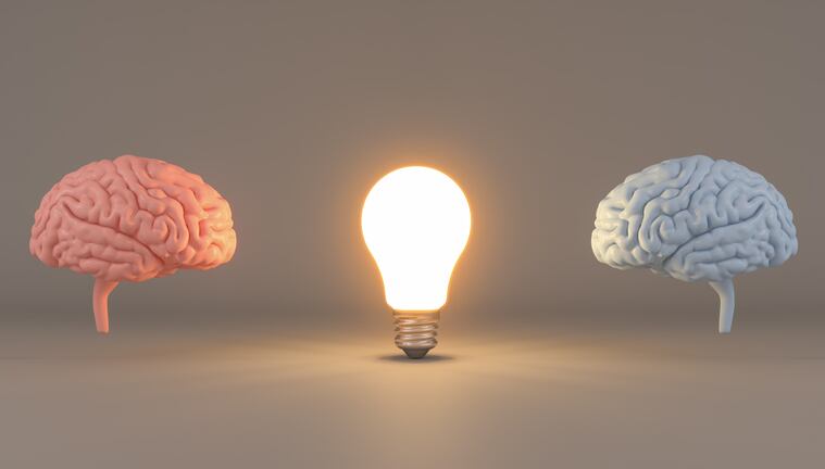 Ginseng, brahmi, coffee fruit extract could improve mood, working memory – USANA-funded trial