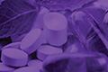 How to run efficient, high-quality probiotic clinical trials that unlock Western markets 