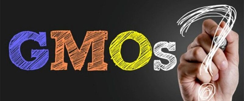 Japan GM food: New data ‘further supports’ the case for genetically modified ingredients – government study