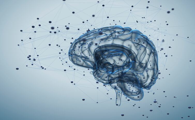 Cohen-study-finds-presence-of-unapproved-drug-in-cognitive-supplements.jpg