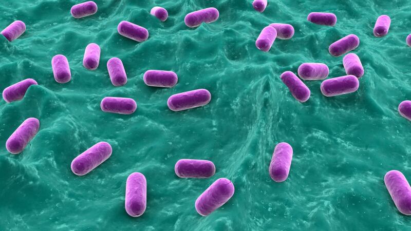 DuPont to manufacture novel probiotic strain for clinical trial on sepsis in Bangladeshi infants