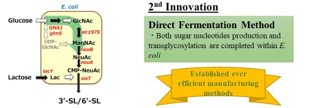 Fig-5.-2nd-innovation-hmo.png