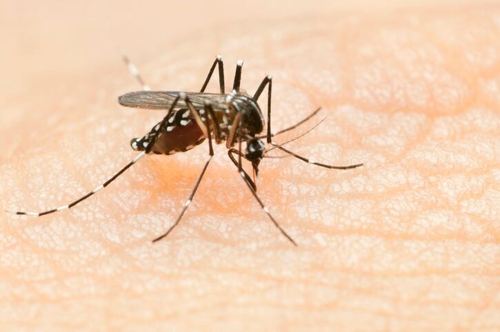 Tropical-diseases-and-LC-Plasma-Kirin-and-University-of-Malaya-to-expand-research-following-dengue-clinical-trial.jpg