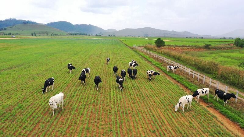 vinamilk-Laos-2.jpg