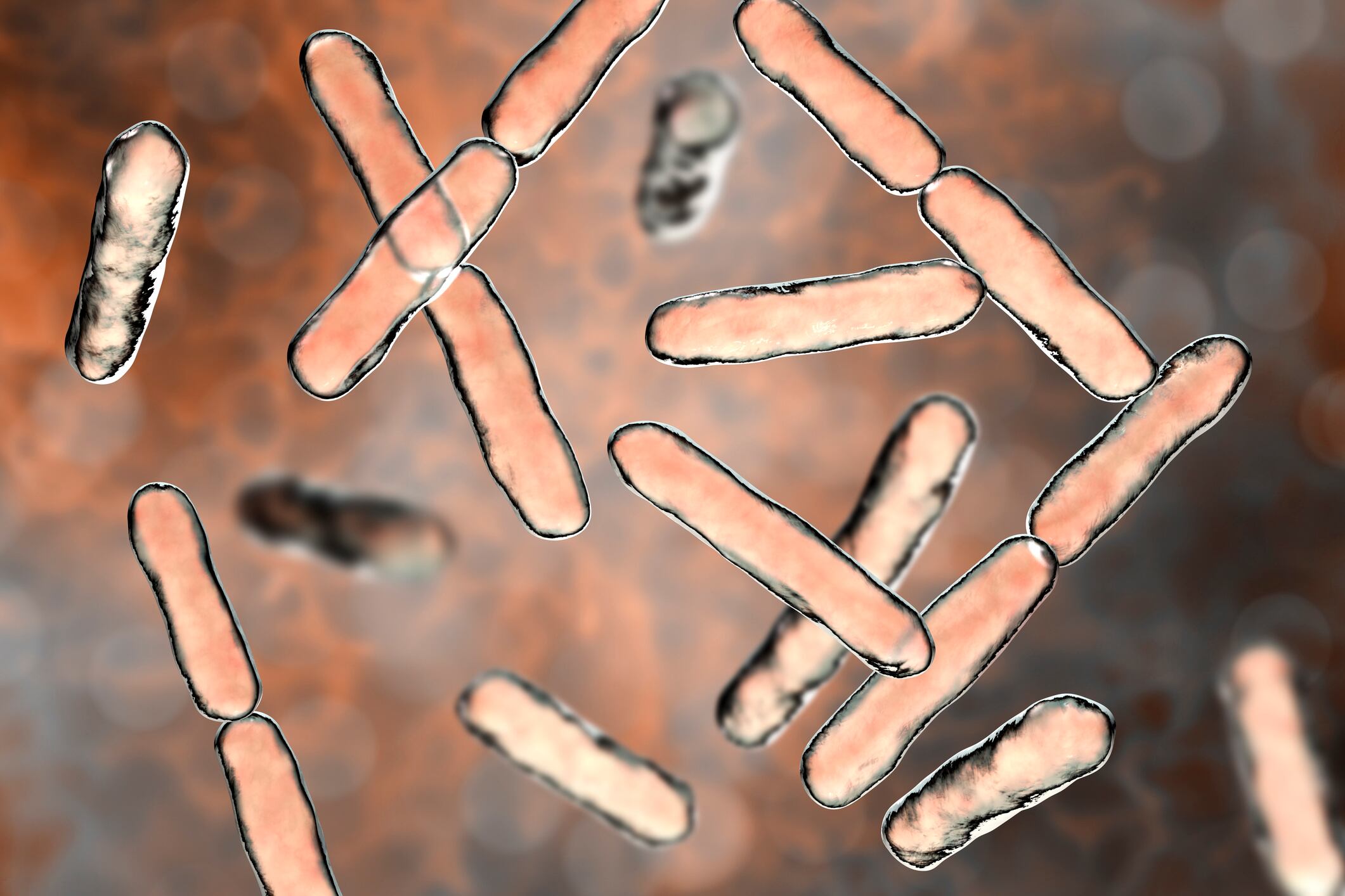 No-BBC-probiotics-are-not-quite-useless.jpg
