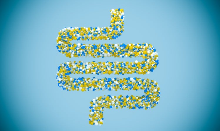 Trial first: Angel Yeast studying yeast-based probiotics’ effects on IBD patients