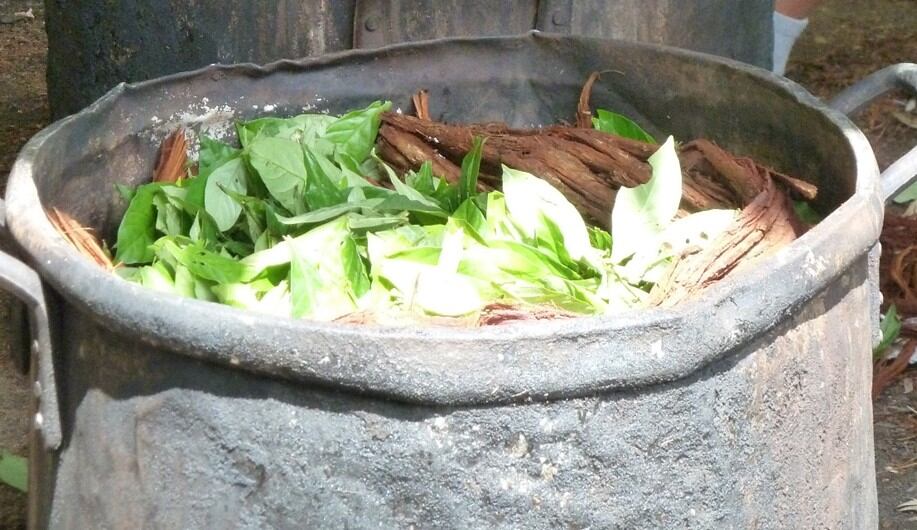 Ayahuasca alarm: Traditional botanical brew can lead to 'acute mental health troubles' - Australian study