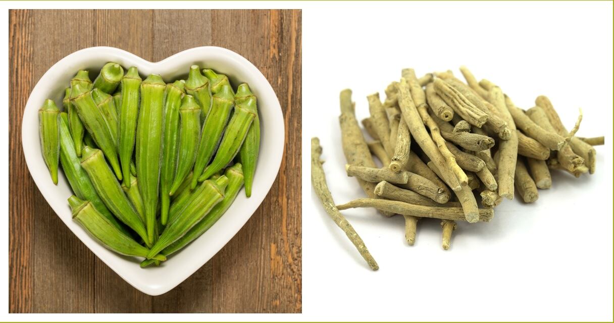 ‘Address the stress, improve the gut’: Ashwagandha-okra blend offers novel approach to address digestive health