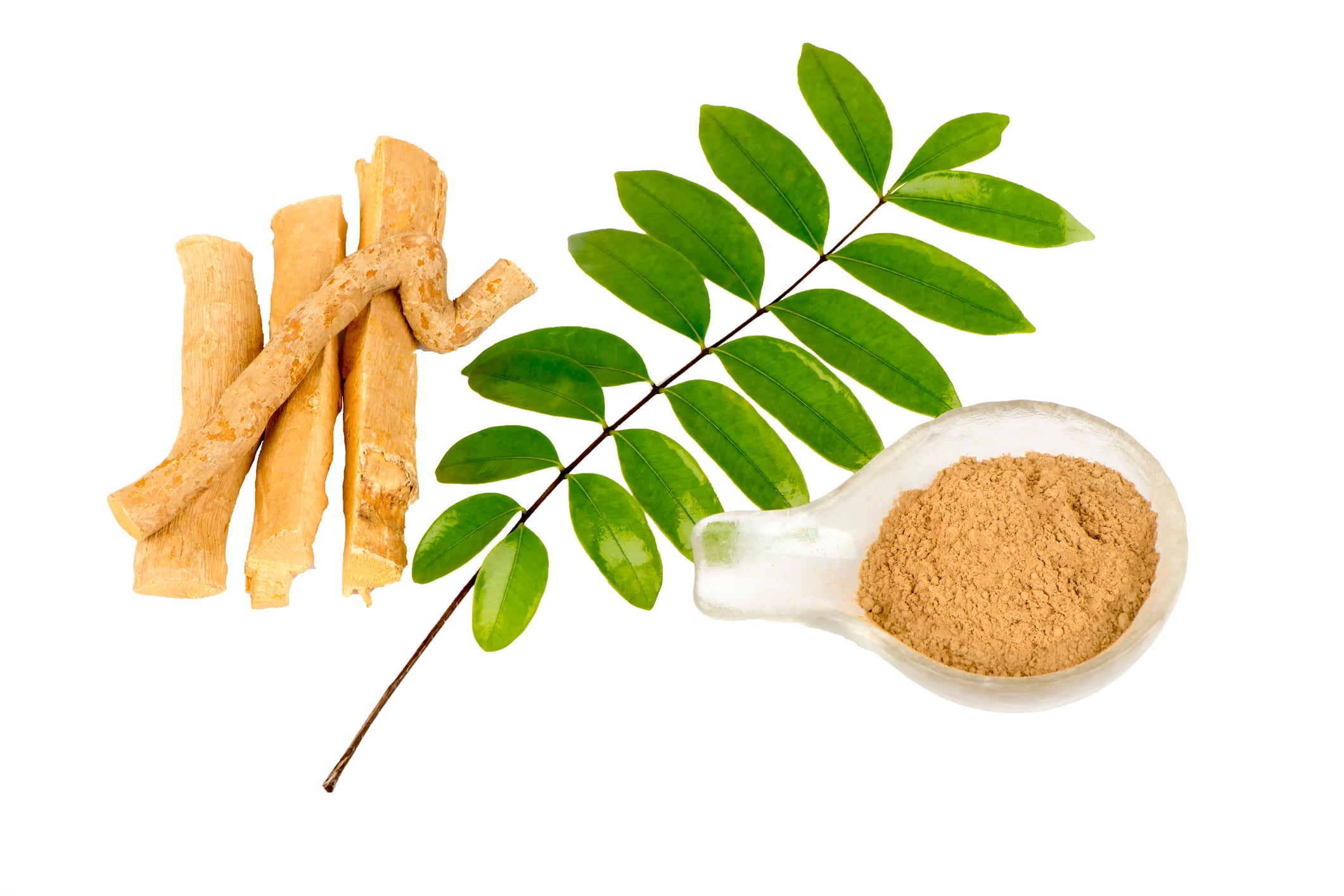 Tongkat Ali for women: Malaysia firm studies botanical for menopause relief